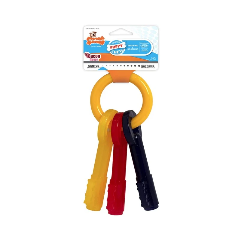 Nylabone Puppy Chew Teething Keys Toy1 Puppy Key Toy