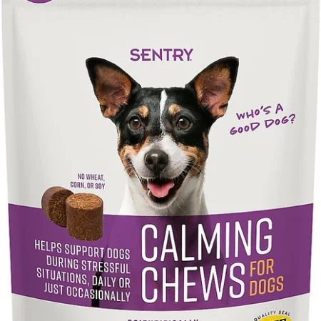 Dog Anxiety and Calming