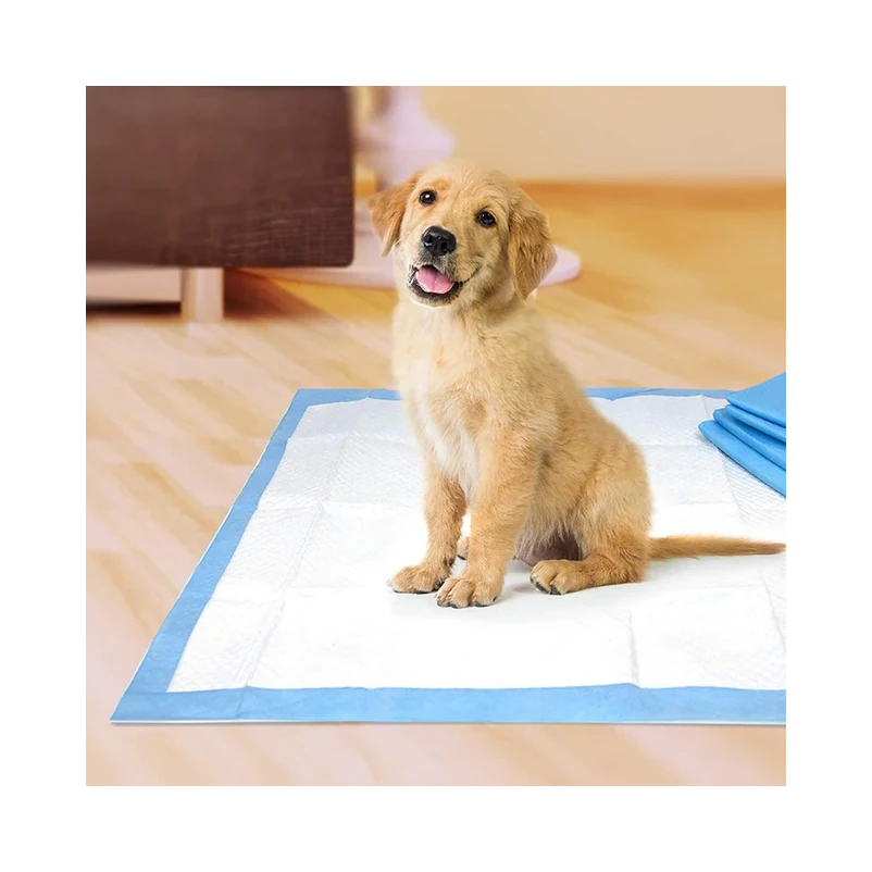 Original Wee Wee Pads for All Dogs and Puppies2 Original Wee Wee Pads for All Dogs and Puppies