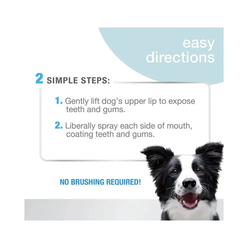 Advanced Oral Care Dental Spray2 Advanced Oral Care Dental Spray