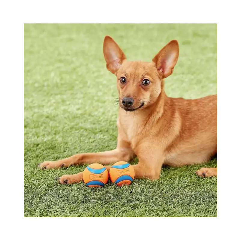 Chuckit Ultra Ball Dog Toy5 Chuckit Ultra Ball Dog Toy